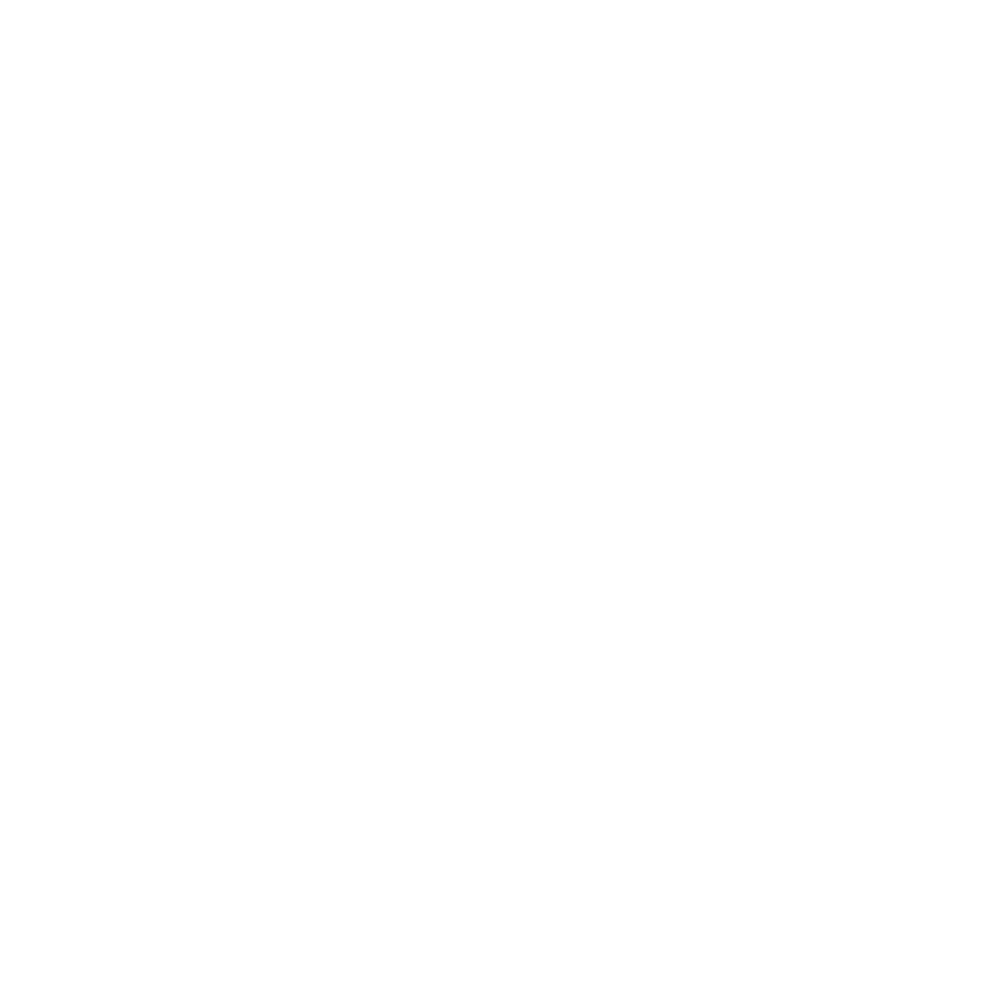 docuware icon white