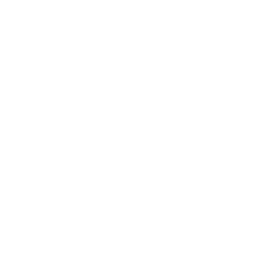 watchguard icon