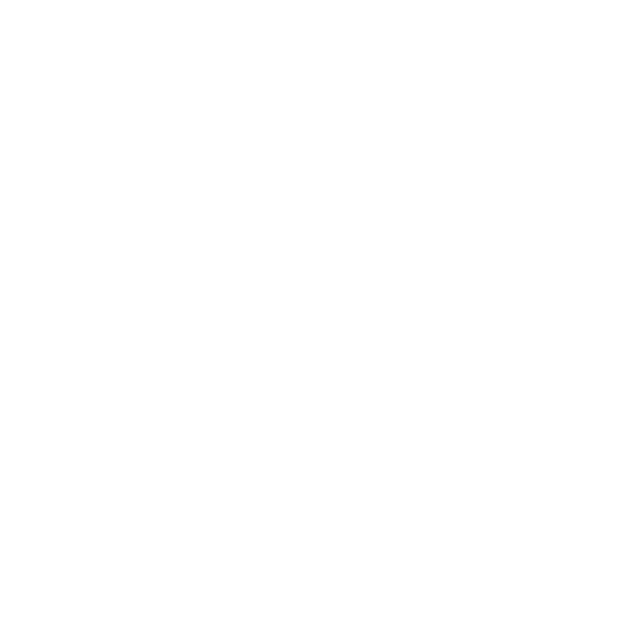 leadinfo icon white