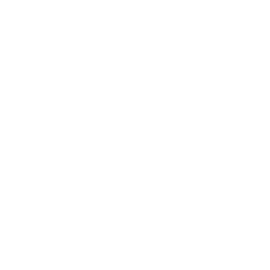 smartWe icon white